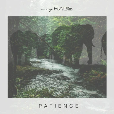 Patience Album Art